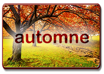 Stages automne